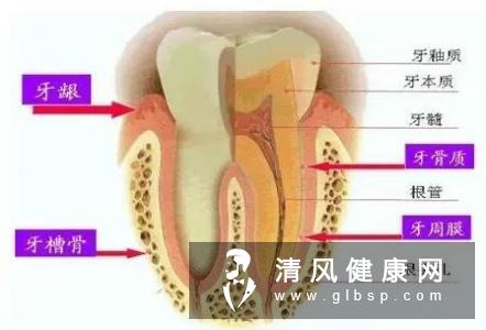 牙龈出血的原因是什么